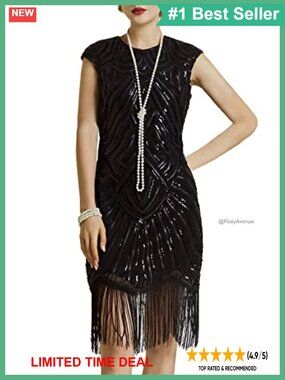 Beaded Fringe Flapper Dress 1920s Great Gatsby Sequin Party